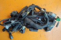 ZXR250 C 91-95 $100 will splt 