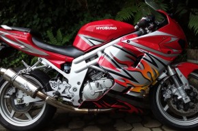 GT650R 09 (carbed model)