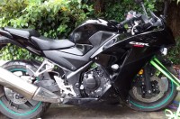 Cbr300 2016 